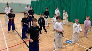 Image result for Bellshill Tae Kwon-Do