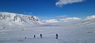 Image result for Tyneside Loipers