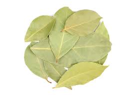 Attēlu rezultāti vaicājumam “Batrachium circinatum leaf”