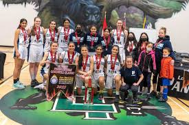 Image result for Surrey Spitfires Basketball Club