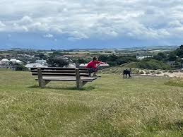 Image result for BigBlueSurfSchool