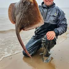 Image result for Bristol Channel Sea Fishing