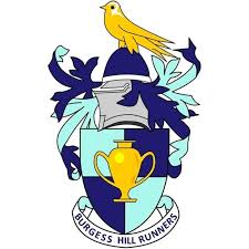 Image result for Burgess Hill Scrabble Club