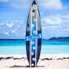 Image result for Aloha Sailboards