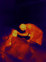 Image result for antoine d