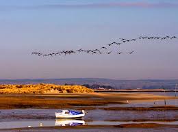 Image result for Chichester Watersports Club