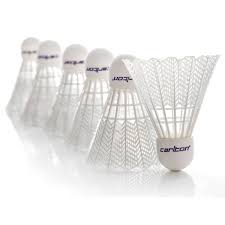 Image result for Carlton Badminton Club