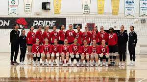 Image result for York University Volleyball Club