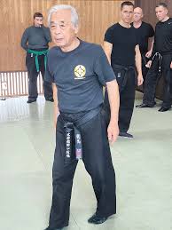 Image result for Bujinkan Ninpo Dojo