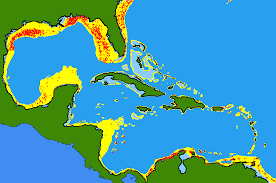 Image result for Rhomboplites aurorubens