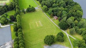 Image result for Luctonians Cricket Club