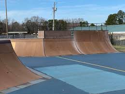 Image result for Skate Extreme