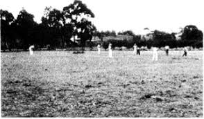 Image result for The Paddock Cricket Club