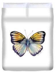 Attēlu rezultāti vaicājumam “Pieridae”