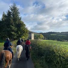 Image result for Scottish Equi Complex