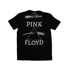 Image result for pink floyd girls