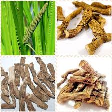 Attēlu rezultāti vaicājumam “Acoraceae”