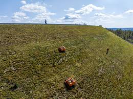 Image result for roboflail tehron