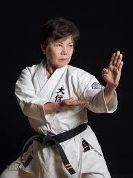 Image result for Zen Shin Seicho Do Adult Karate