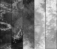 Image result for mars trees