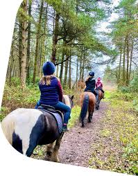 Image result for Porlock Vale Riding School