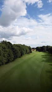 Image result for Romanby Golf Course