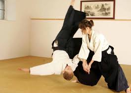 Image result for West Midlands Aikido Association Dojo