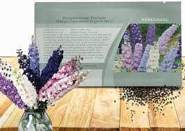 Attēlu rezultāti vaicājumam “Delphinium elatum  fruit”