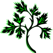 Image result for Midsomer Norton Cricket Club