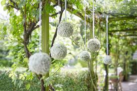 Attēlu rezultāti vaicājumam “Gypsophila fastigiata bud”