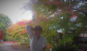 Image result for enpi dojo