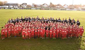 Image result for Walton & Hersham Football Club
