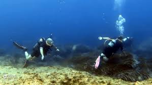 Image result for Chiltern Divers