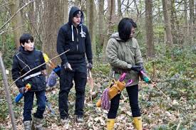 Image result for Cloth Of Gold Field Archery Club