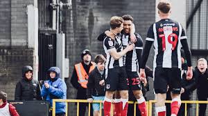 Image result for Crawley Town Football Club