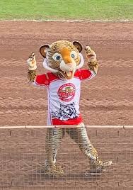 Image result for Glasgow Tigers
