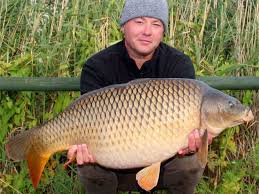 Image result for Hull & District Anglers' Association