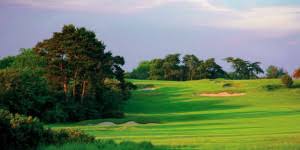 Image result for Greetham Valley Golf Club