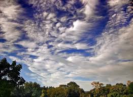 Attēlu rezultāti vaicājumam “altocumulus”