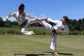 Image result for COMBAT TAEKWONDO