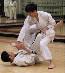 Image result for Inyo Karate Do Ninbukan