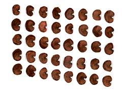 Attēlu rezultāti vaicājumam “Silene wolgensis”