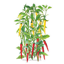Afbeeldingsresultaat voor cayenne blend hot pepper