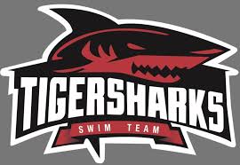 Image result for Selby Tiger Sharks Swimming Club