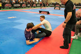 Image result for British Jiu-Jitsu School