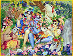 Image result for krishnamurals