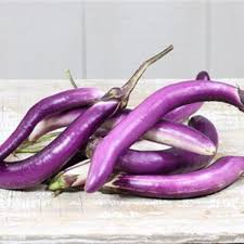 Afbeeldingsresultaat voor fengyuan purple eggplant