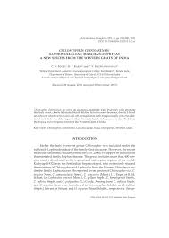 Attēlu rezultāti vaicājumam “Chiloscyphus polyanthos sporophyte”