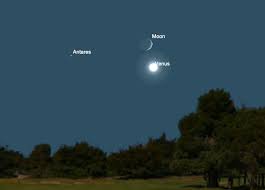Image result for moon venus