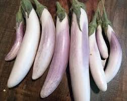 Afbeeldingsresultaat voor fengyuan purple eggplant